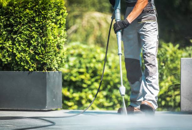 Best Building Exterior Washing  in Inver Grove Heights, MN